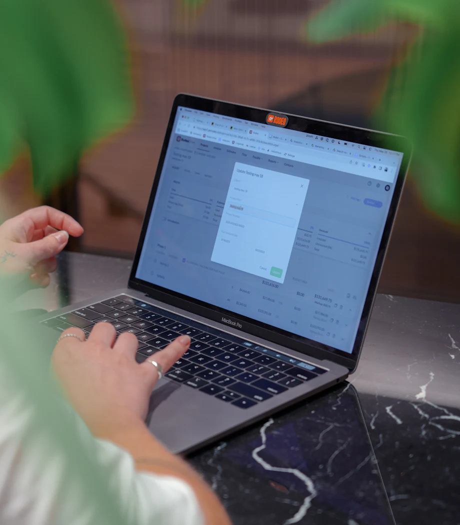 A woman working on her laptop, a plant beside her